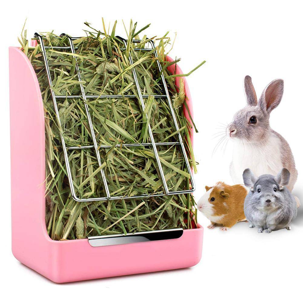 Springtime Munchies: Anti-Bite Rabbit Grass Feeder
