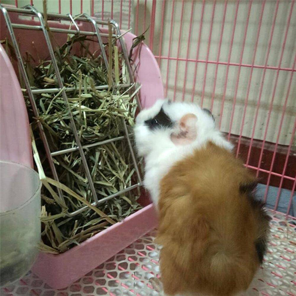 Springtime Munchies: Anti-Bite Rabbit Grass Feeder