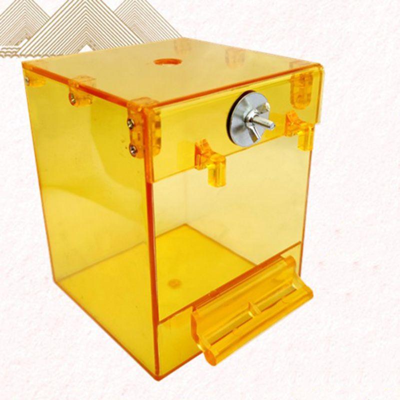 Transparent Square Acrylic Bird Bath: A Soothing Oasis For Your Feathered Friends